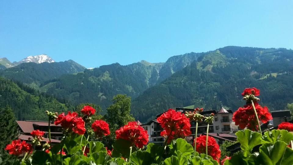 Landhaus Alpenrose Майерхофен Екстериор снимка